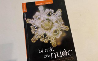 Bộ GD-ĐT công bố đáp án môn ngữ văn