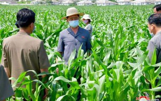 Triều Tiên thừa nhận thiếu lương thực trầm trọng