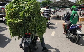 TP HCM đã thống nhất phương án đưa người dân về Đà Nẵng