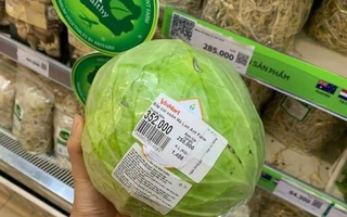 Thực hư siêu thị bán bắp cải 250.000 đồng/kg trong mùa dịch