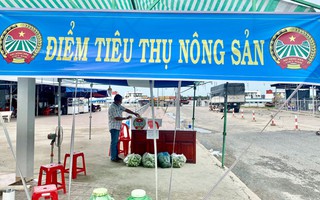 Giúp dân tiêu thụ nông sản