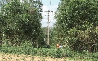 PC Quảng Ngãi: Bảo vệ lưới điện mùa khô