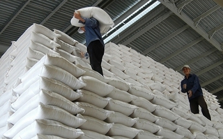 Bình Phước, Bạc Liêu, Sóc Trăng được cấp 4.117 tấn gạo hỗ trợ người dân trong dịch Covid-19