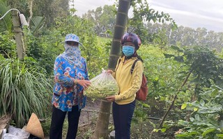 “Alo! Ngày mai có rau để bán cho người dân không?”