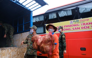 6.000 tấn rau sạch từ Lâm Đồng chuyển tặng TP HCM