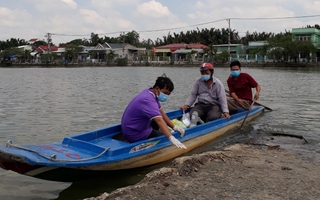 Trọn vẹn một chữ Tâm