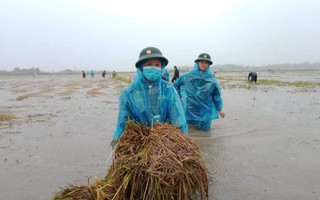 Quảng Ngãi mưa trắng trời, nhiều nơi ngập nặng, lũ lên nhanh