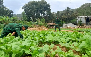 Biên phòng đảo Thổ Châu trồng rau, nuôi heo tặng dân nghèo