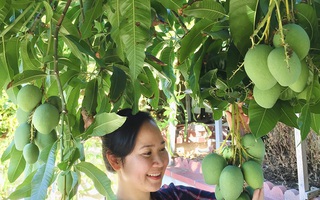 Khu vườn toàn rau trái Việt trên đất Mỹ