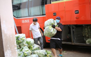 Phương Trang vận chuyển nông sản Đà Lạt gửi tặng người dân TP HCM
