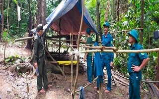 Đà Nẵng: Làm rõ nhóm người vào rừng lập lán trại, khai thác vàng trái phép