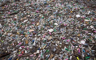 Các "đại gia" tuyên chiến với ô nhiễm nhựa