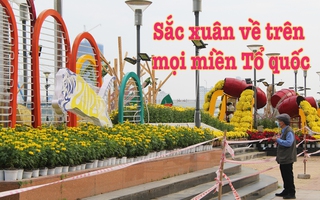 Sắc xuân về trên mọi miền của Tổ quốc