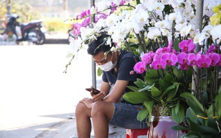 Chợ hoa Tết lớn nhất Đà Nẵng đang ế