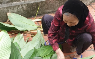 "Bên nhau ngày Tết": Tết háo hức về với u