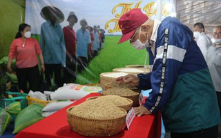 Khai mạc Festival Lúa gạo Việt Nam lần thứ 5
