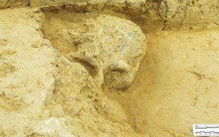 Trung Quốc: Người khác loài 1 triệu tuổi "hồi sinh" từ đá