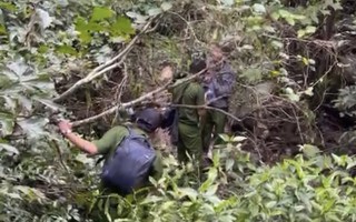 Đang tìm kiếm nữ du khách Đồng Nai bị mất tích tại núi Tà Cú – Bình Thuận