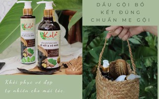 Đi tìm dầu gội đúng chất bồ kết cho mái tóc Việt