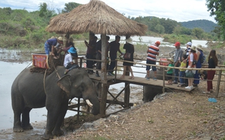 Nỗi lo bảo tồn