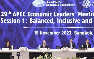 APEC cần củng cố nền tảng hợp tác và phát triển