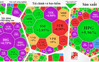 Cổ phiếu hôm nay 18-11: Chứng khoán lại xanh tím hàng loạt