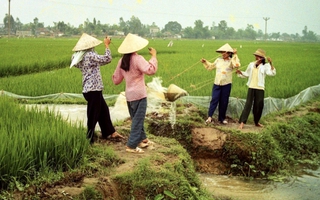 TIẾNG VIỆT GIÀU ĐẸP: Tát hay té?