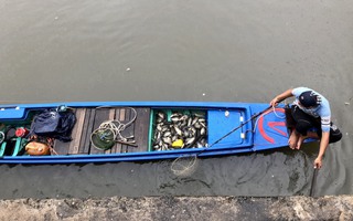 Clip: Ngang nhiên chích điện bắt cá trên kênh Nhiêu Lộc - Thị Nghè