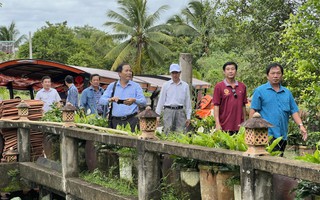 Tăng tốc du lịch liên vùng TP HCM - ĐBSCL