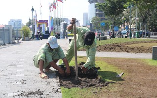 Thông tin mới vụ thảm cỏ tại công viên Bến Bạch Đằng bị hư hại nặng sau lễ hội ẩm thực