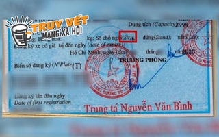 Chuyên gia nói gì về cà-vẹt ô tô sai tiếng Anh?