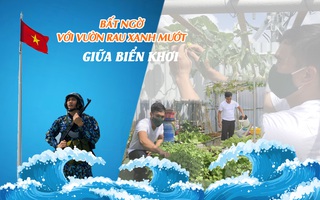 Bất ngờ với vườn rau xanh mướt giữa biển khơi