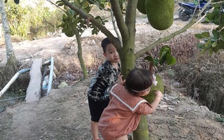 Cuộc thi "Bên nhau ngày Tết": Mong ước Tết đoàn viên