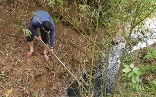 Bắt quả tang trang trại heo 1.500 con xả thải "chui" ra sông Bến Hải