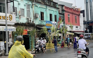 Đội mưa đi mua mía vàng