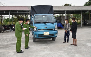 2 người đàn ông dùng xe ôtô trộm cắp trâu chăn thả trên đồng