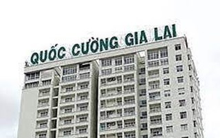 Không khởi tố vụ Công ty Quốc Cường Gia Lai bị tố chiếm đoạt hơn 2.882 tỉ đồng