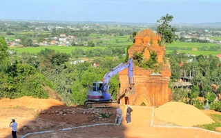 Bảo tồn, đừng chỉ nói miệng!