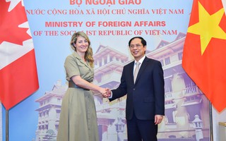 Bộ trưởng Bùi Thanh Sơn đề nghị Canada sớm công nhận hộ chiếu vắc-xin của Việt Nam