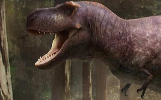 Lý do rùng rợn khiến "tay" của bạo chúa T-rex hầu như biến mất