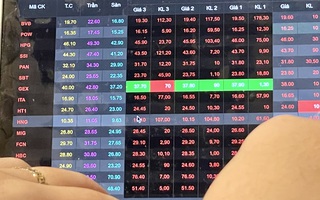 Thị trường chứng khoán biến động sau khi chủ tịch Tập đoàn Tân Hoàng Minh bị bắt