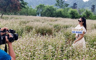 Ngỡ ngàng ngắm hoa tam giác mạch "trái mùa" ở Hà Giang