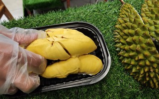 Choáng với giá sầu riêng Musang King trồng tại Việt Nam