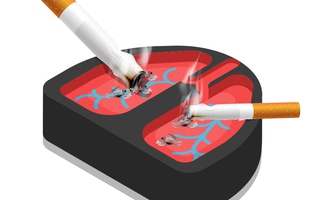 Cần hiểu rõ về các sản phẩm thuốc lá trên thị trường