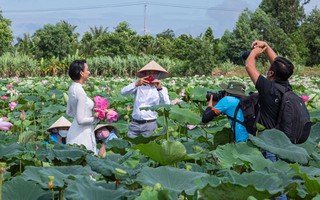 Sen ngày mới!