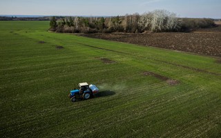 Ngân hàng hạt giống Ukraine trước nguy cơ bị phá hủy