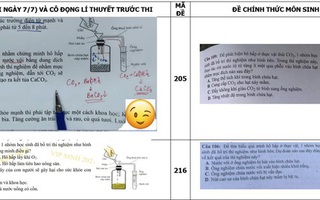 VỤ ÁN LỘ ĐỀ THI MÔN SINH: Làm nghiêm để giáo dục tốt hơn