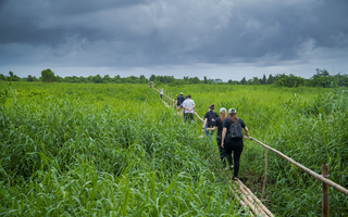 Đến Kiên Giang thăm đất rừng phương Nam