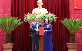 Bộ Chính trị điều động Chủ tịch Bình Định Nguyễn Phi Long làm Bí thư Hoà Bình