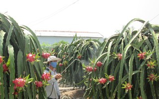 Giữ uy tín cho hàng Việt